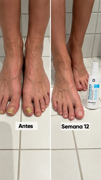 "Recomendo, é sensacional!"