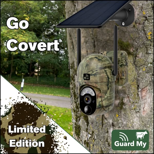Limited Edition Offer & Free Delivery