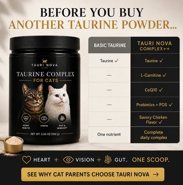 More Than Just Taurine