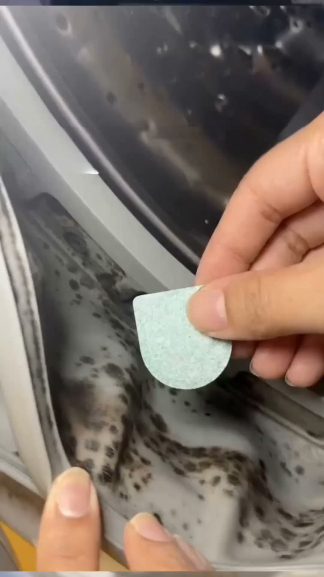 Elimina las bacterias y el olor a mascota de tu lavadora