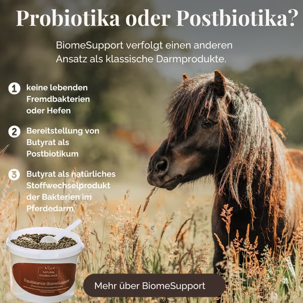 Jetzt den Unterschied entdecken