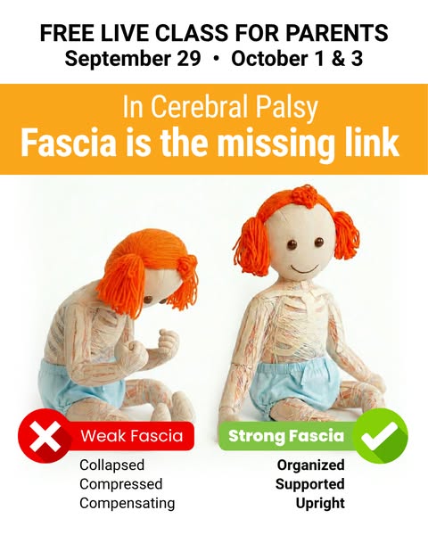 WeFlow Fascia Therapy - Webinar The CALM Framework