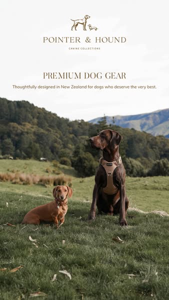 Premium Dog Gear