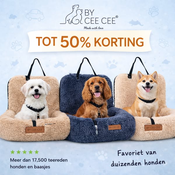STOP met scrollen! Je hond zal je dankbaar zijn