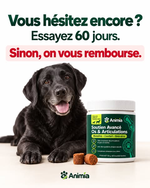 Dernière chance : offre jusqu’à ce soir