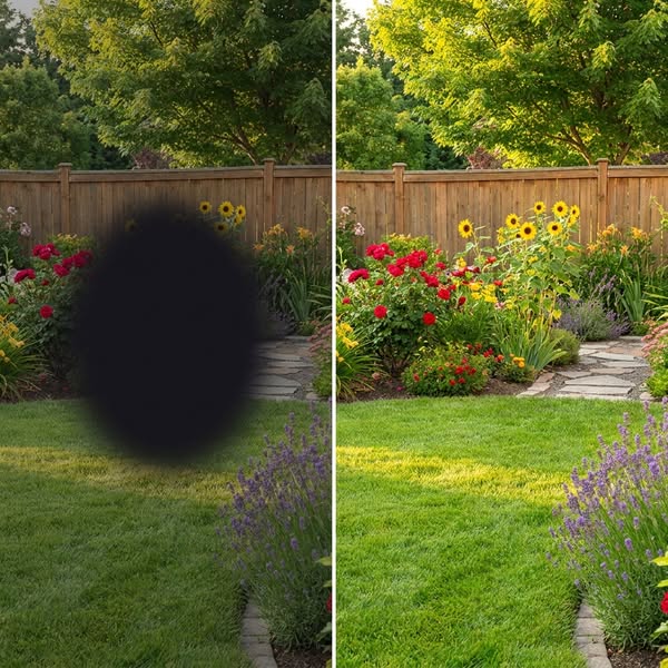 Restore Your Vision From Macular Degeneration