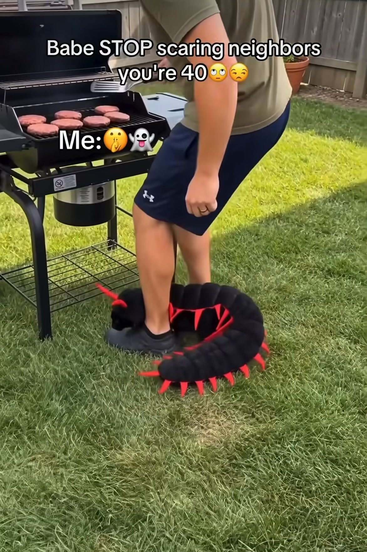 Förvandla din katt till den läskigaste tusenfotingen i år på Halloween!
