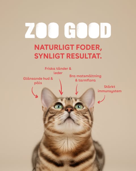 ZOO GOOD