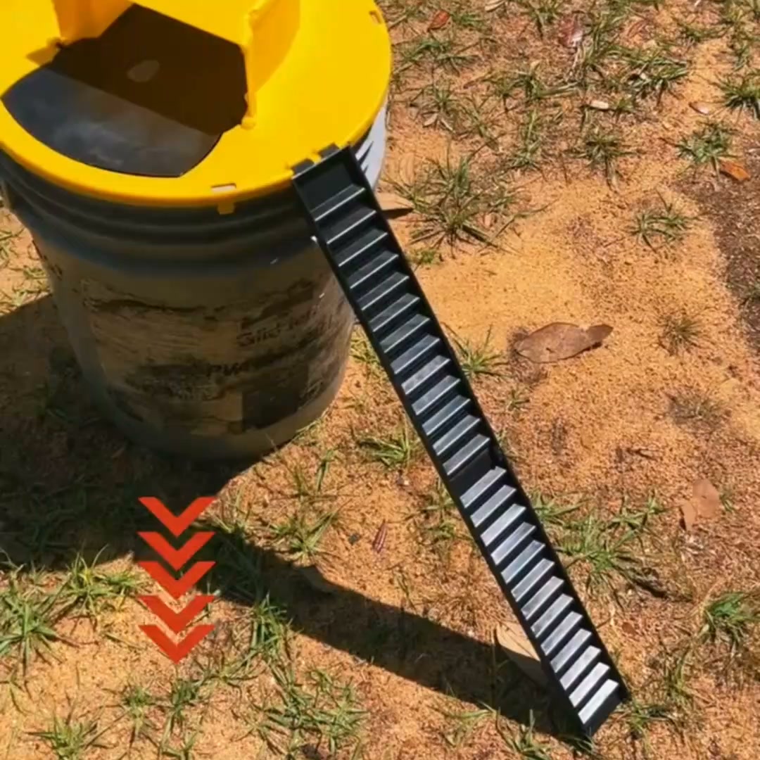 The Humane Way to End Your Rodent Problem