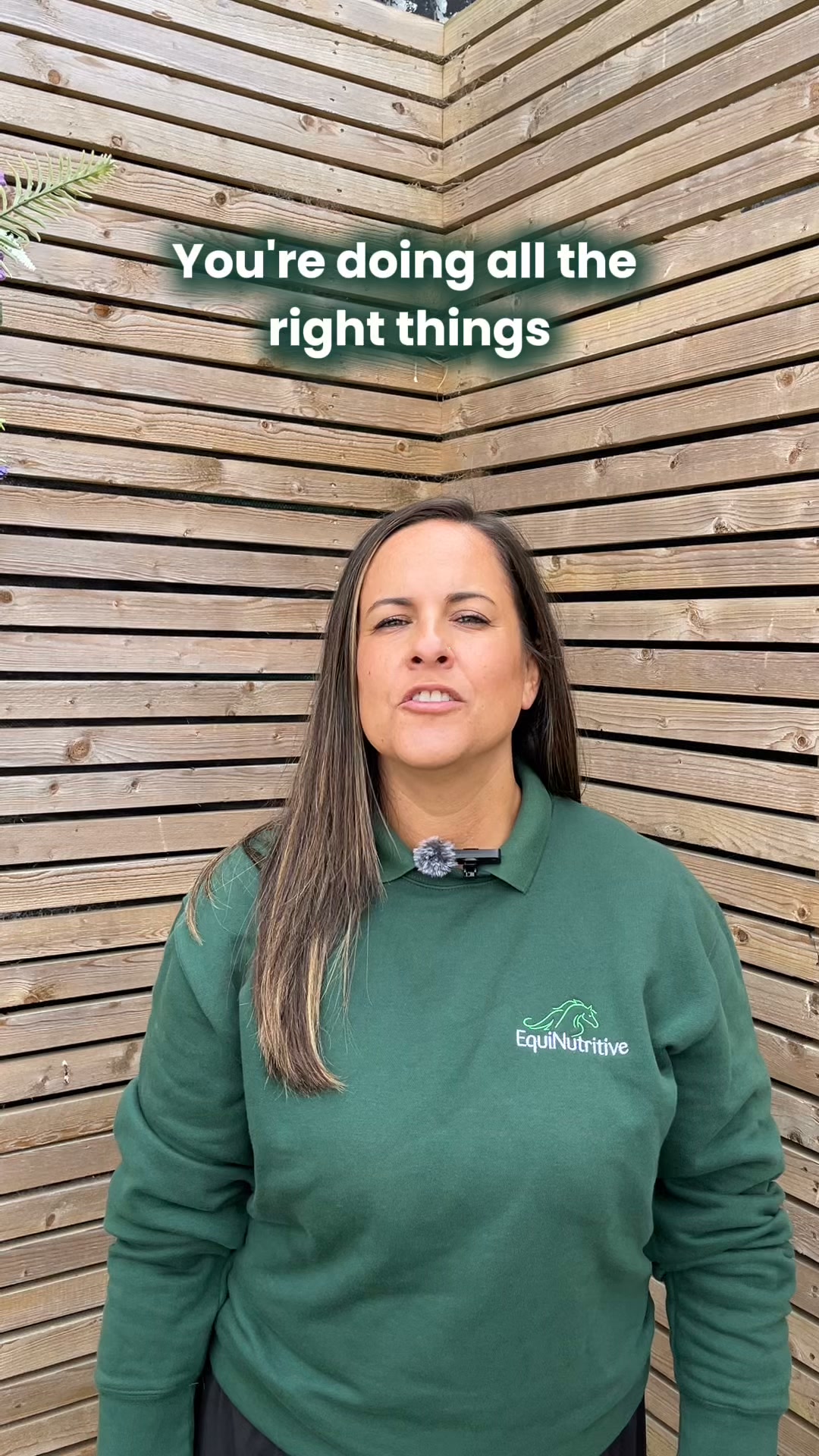 Calm Your Horse Naturally with No More Nerves!