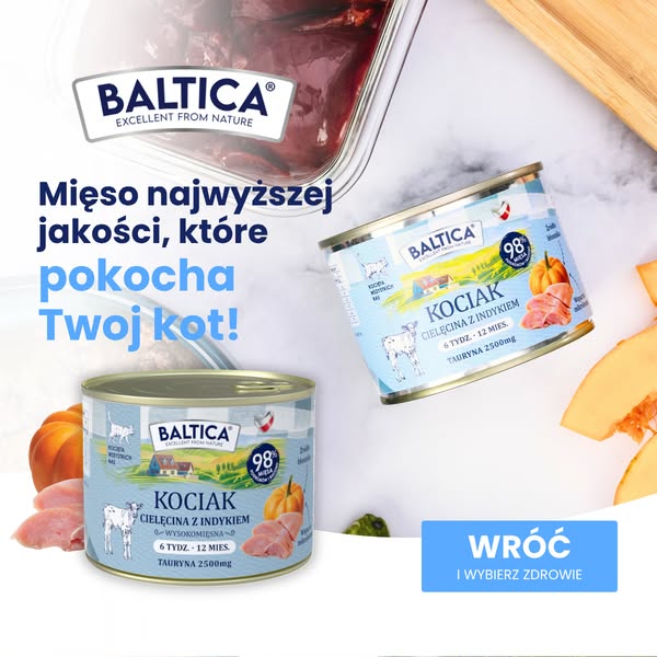 Posiłki które pokocha Twój kot
