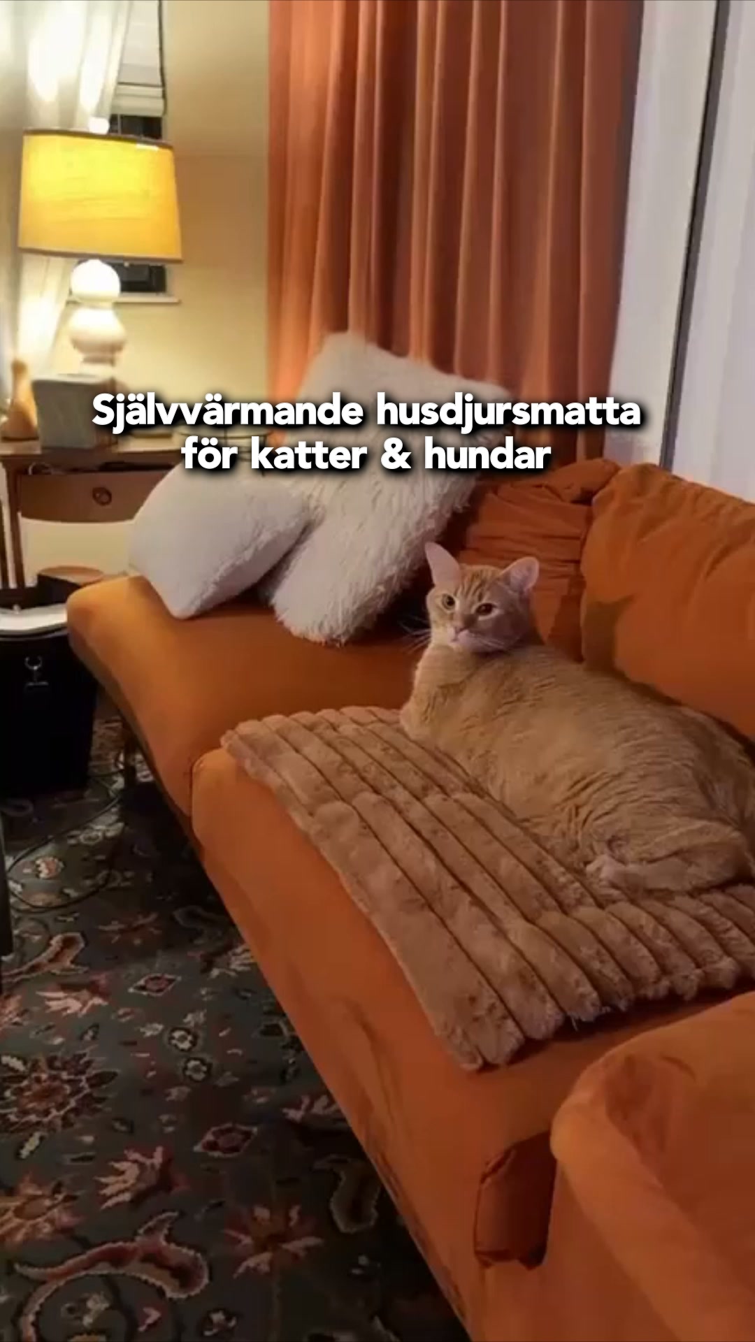 #1 Självuppvärmande Djurmatta
