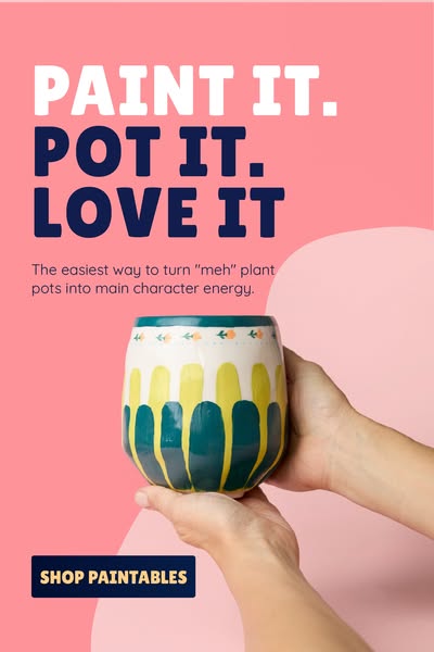 Shop the new Paint-a-Plant Pot Kit now.