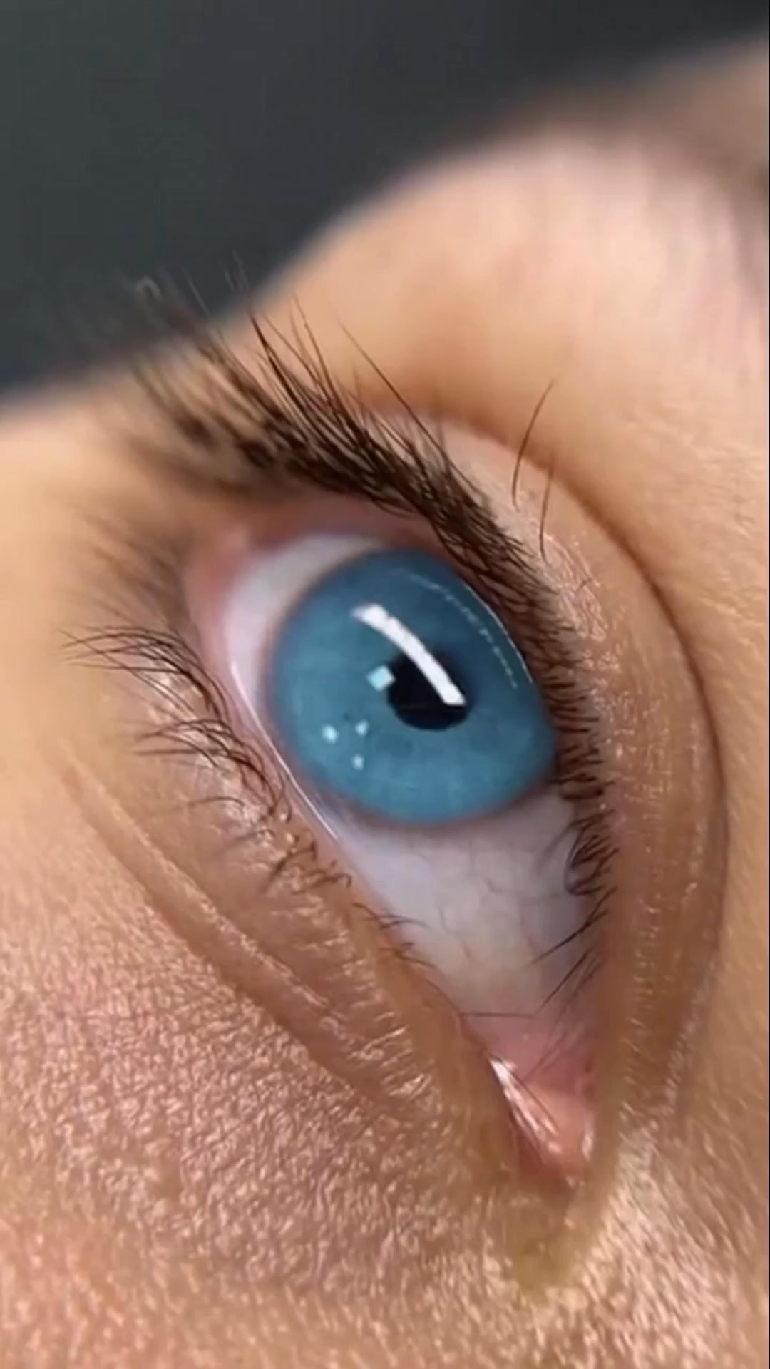 Upgrade to Better Lash Results