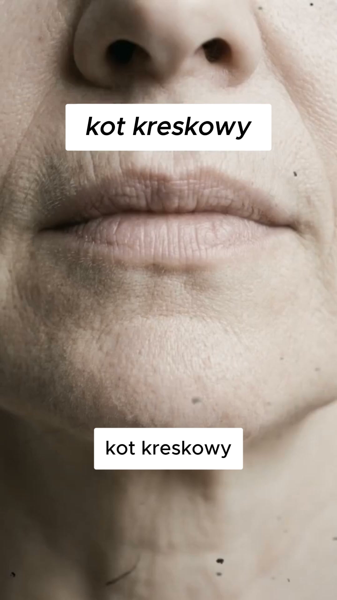 Kup 1, drugi gratis