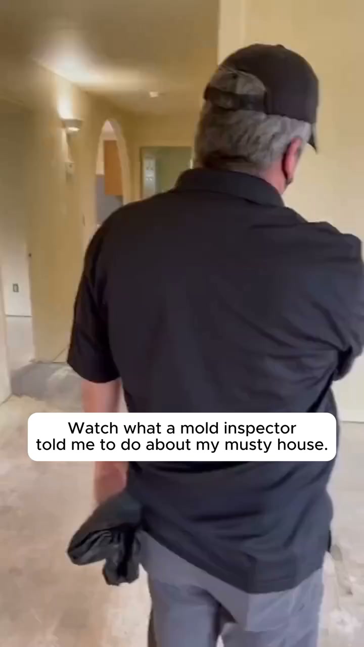Mouldy Smell? Treat the Lingering Odor