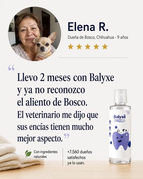 "Ya no reconozco su aliento" — Elena, dueña de Bosco