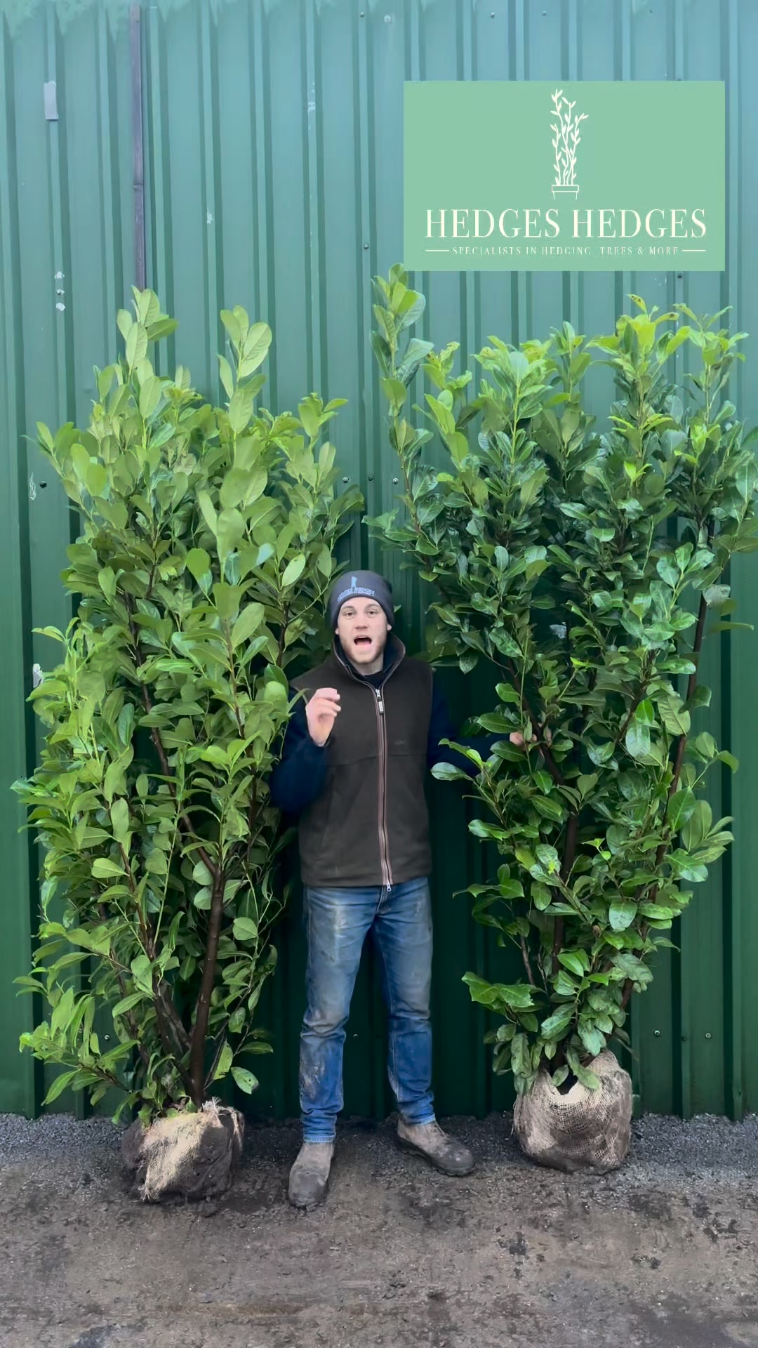 Premium Hedging Delivered Nationwide