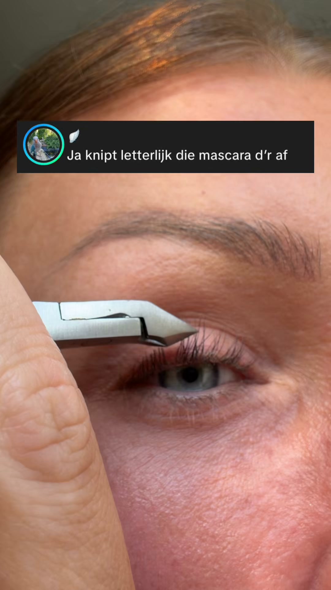 Tijdelijk 2+1 Gratis