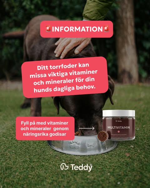 Höstkampanj 50% rabatt och fri frakt!