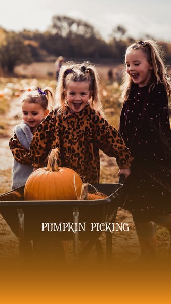 Pick Your Own Pumpkins