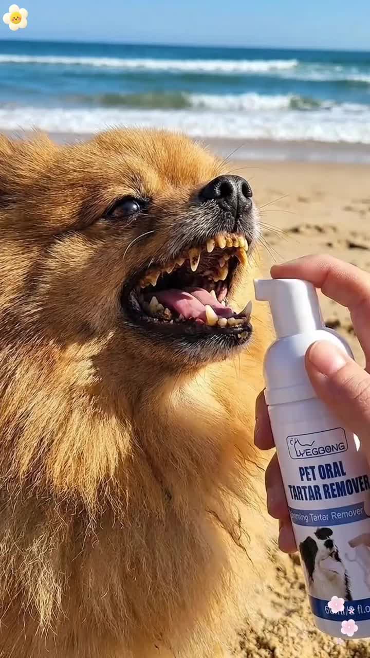 Pet Dental Tartar Care Spray