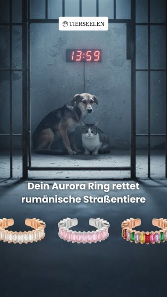 1 Ring = 1 Monat Grundversorgung