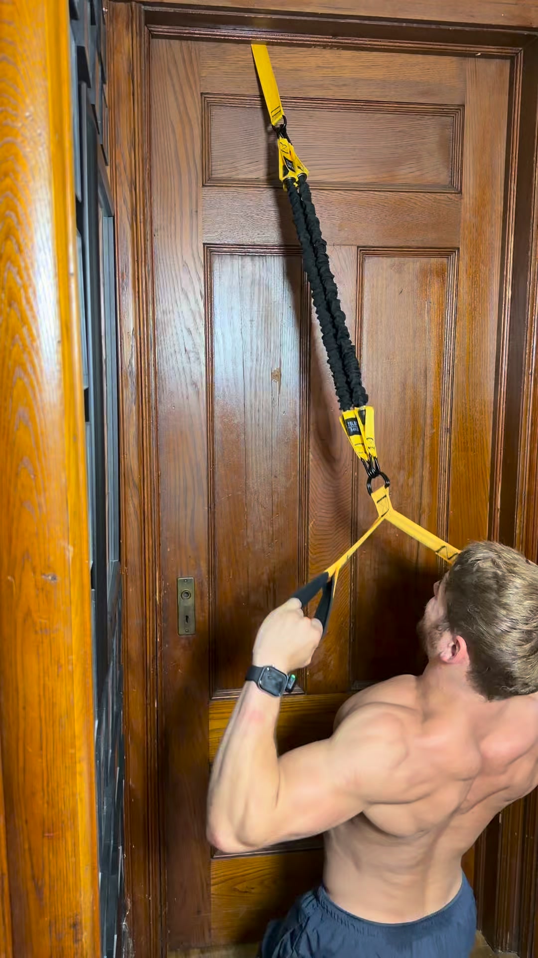 225 lbs Adjustable Resistance Band for Full-Body Strength Training (Arms, Back, Core and Shoulders)