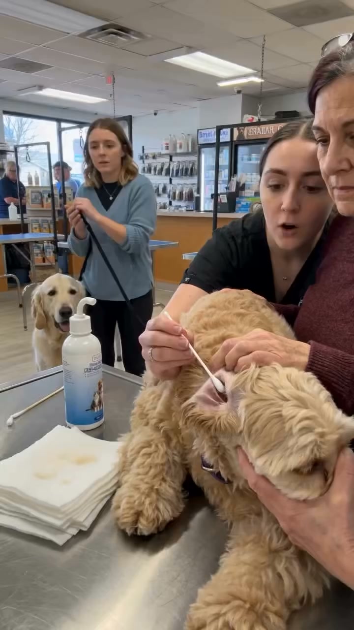 Wipe Away What Cotton Swabs Never Reach