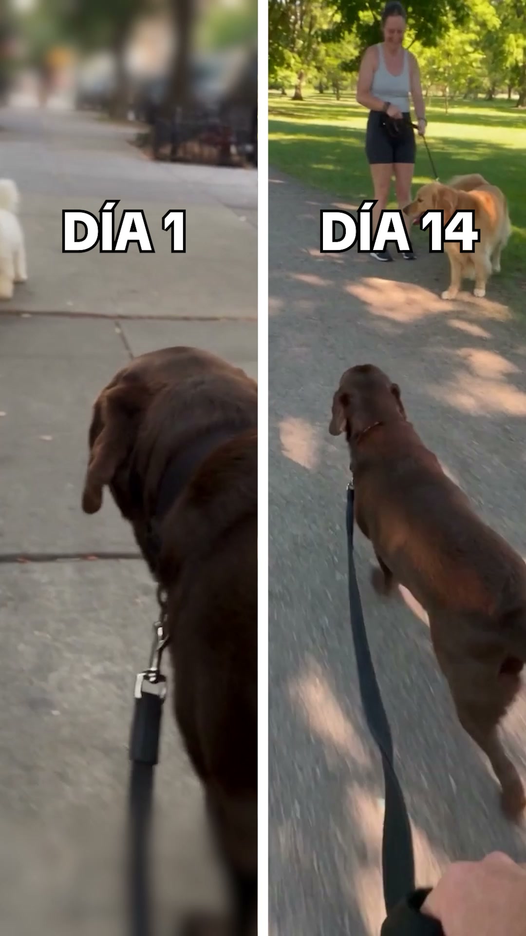 CONSIGUE UN 70% DE DESCUENTO + Envío GRATIS