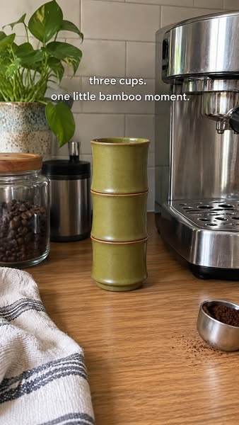 Meet your little bamboo stack
