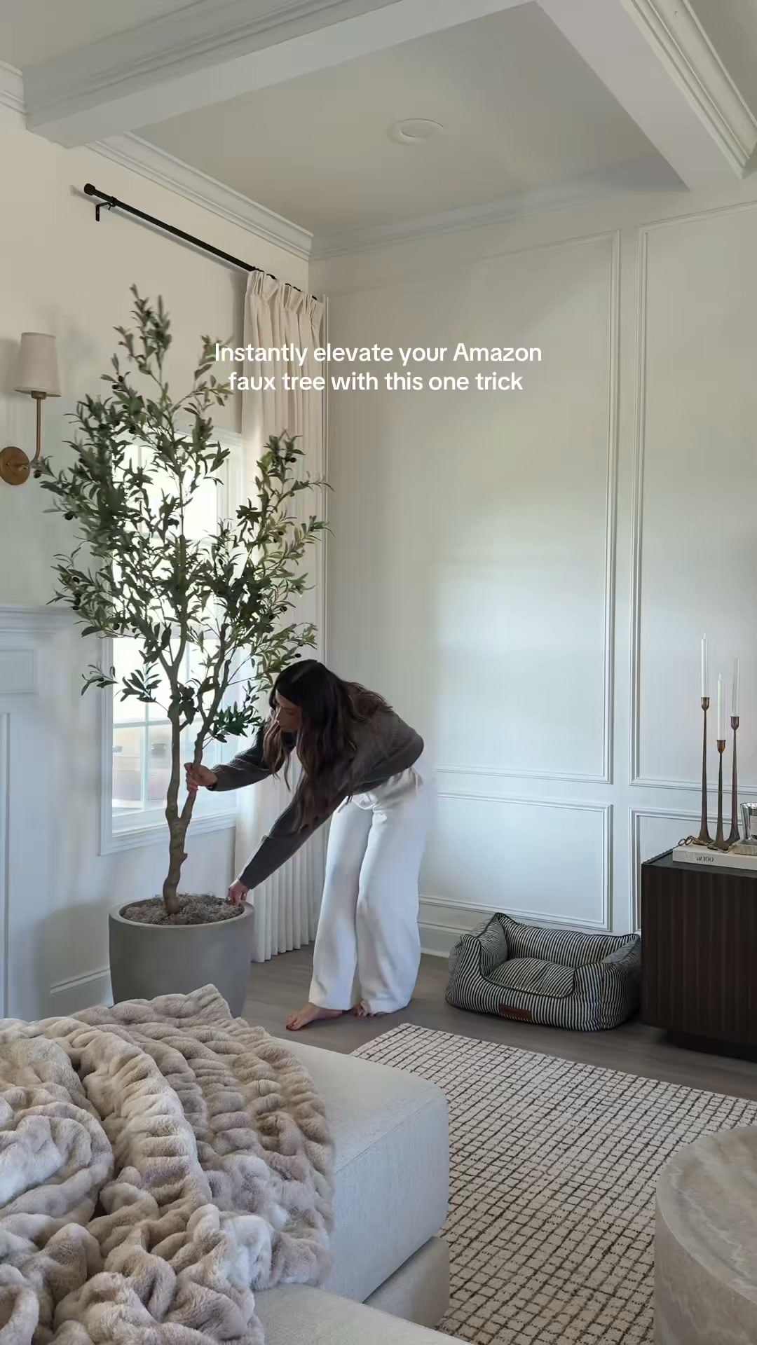 Get 50% Off + Free Shipping