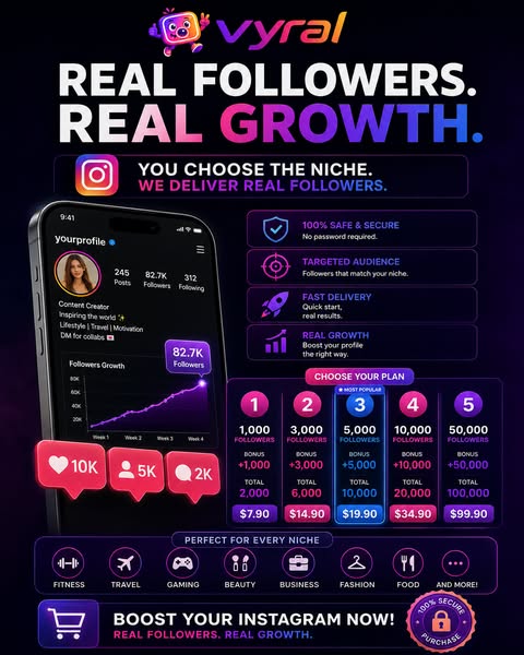 Vyral — Real Instagram Followers in 24h