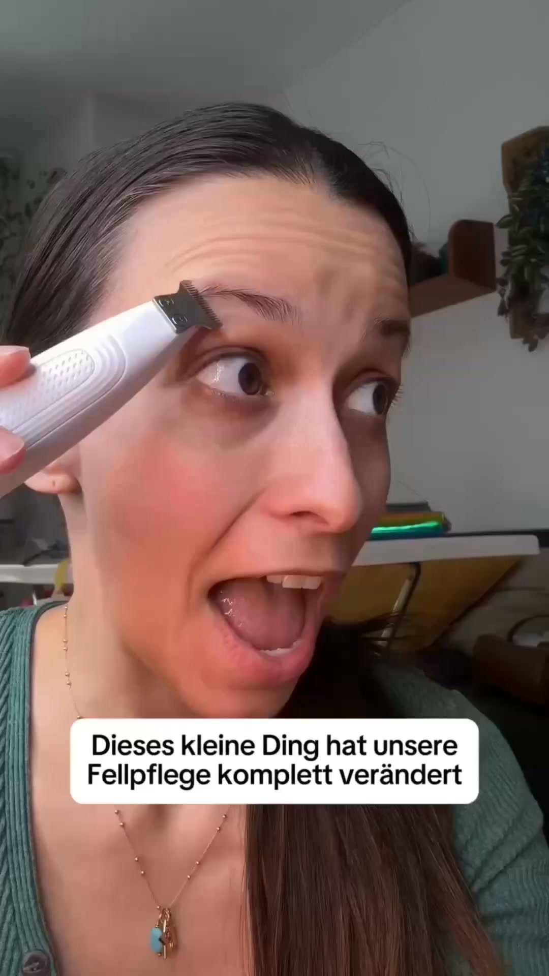 Pfoten trimmen ohne Drama! Der Sobivi Trim macht deinen Hund entspannt