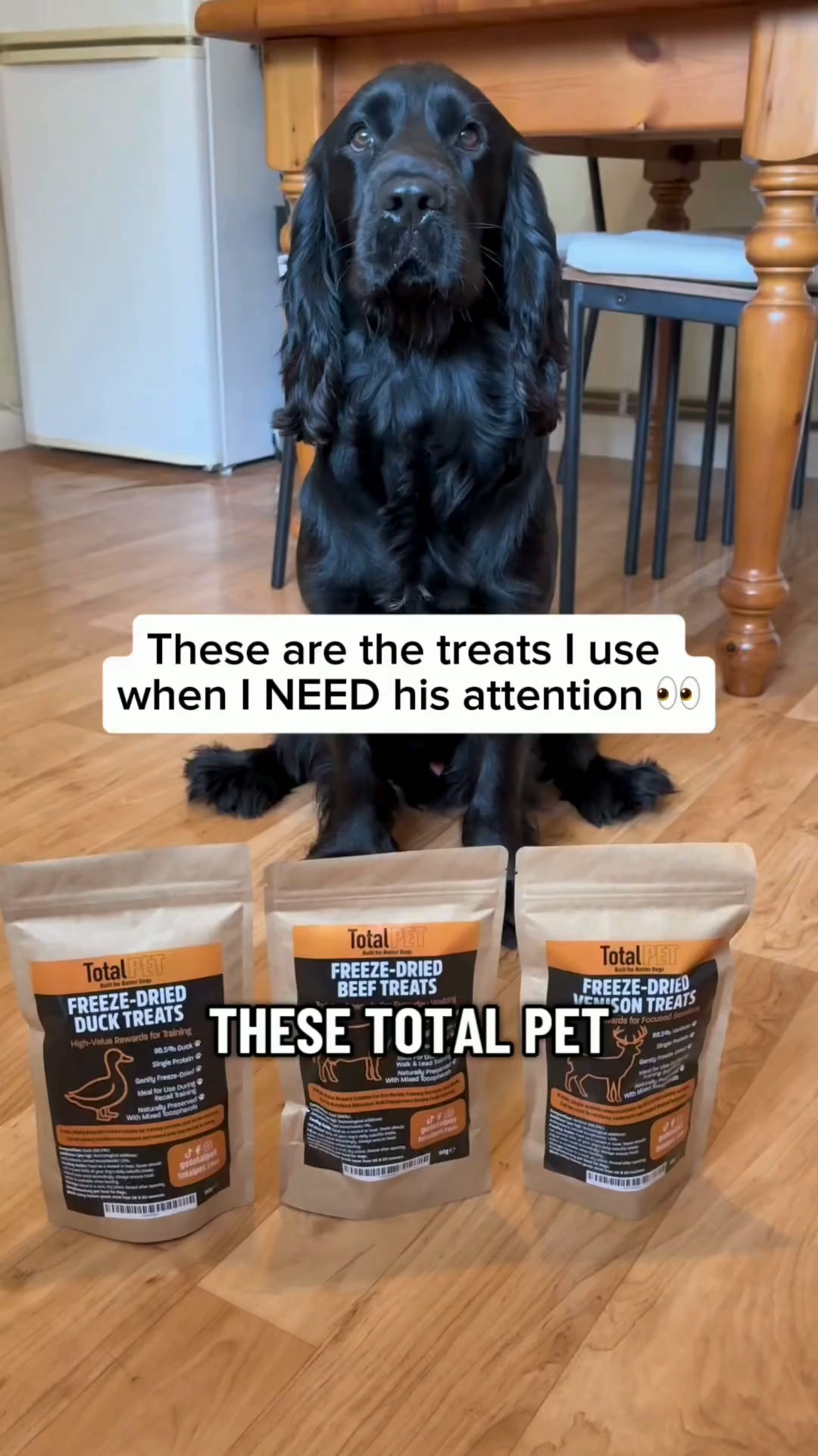 Tasty Training Treats!