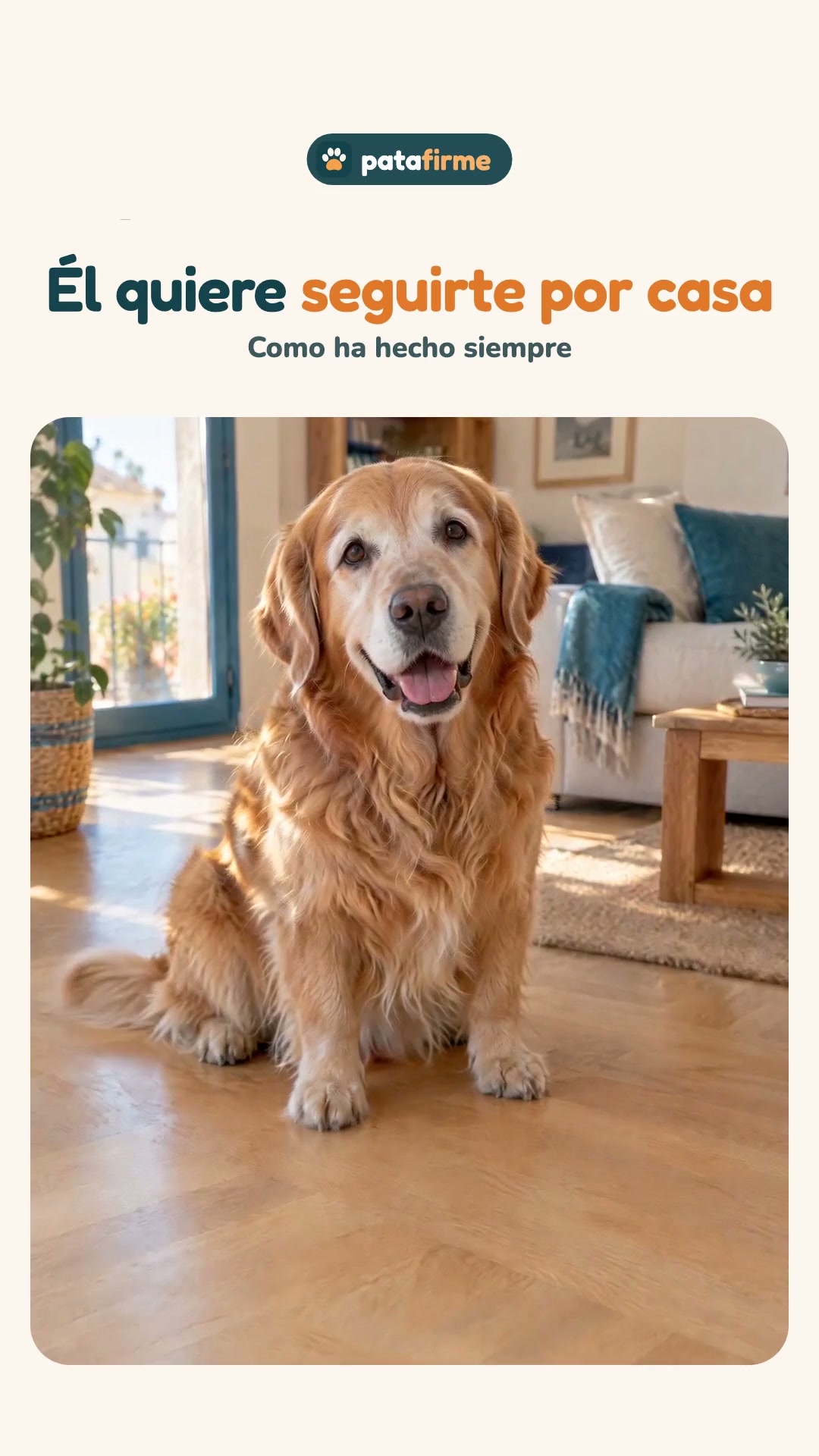Para que siga yendo detrás de ti