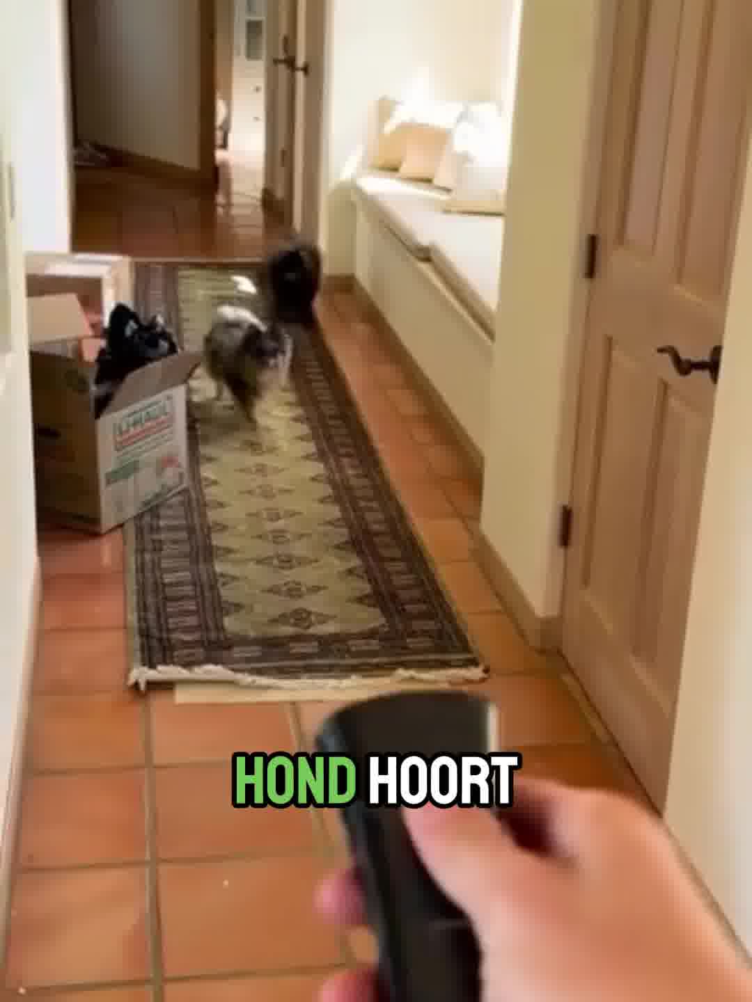 Nu tijdelijk afgeprijsd