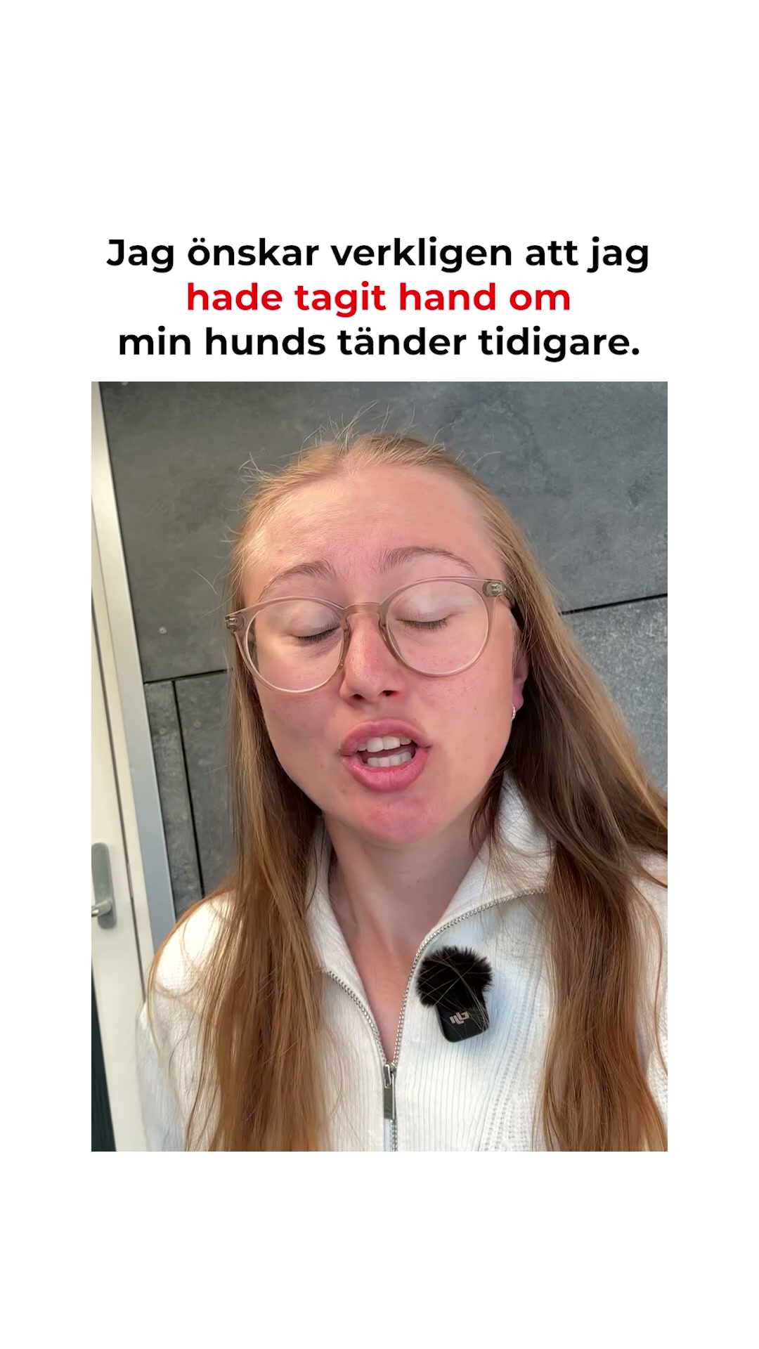Över 200 000 hundägare använder den här enkla lösningen för att hålla sin hunds tänder rena