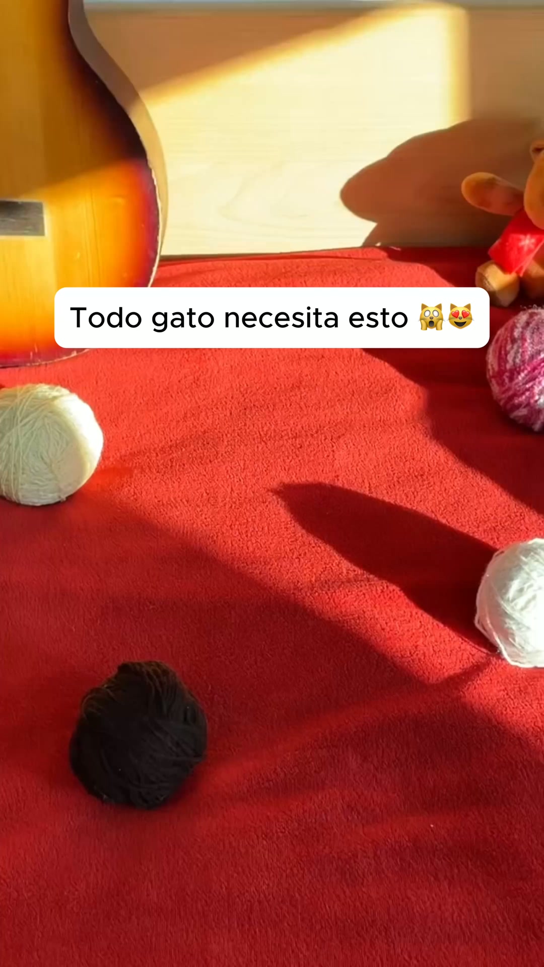 Pedir Contra Reembolso