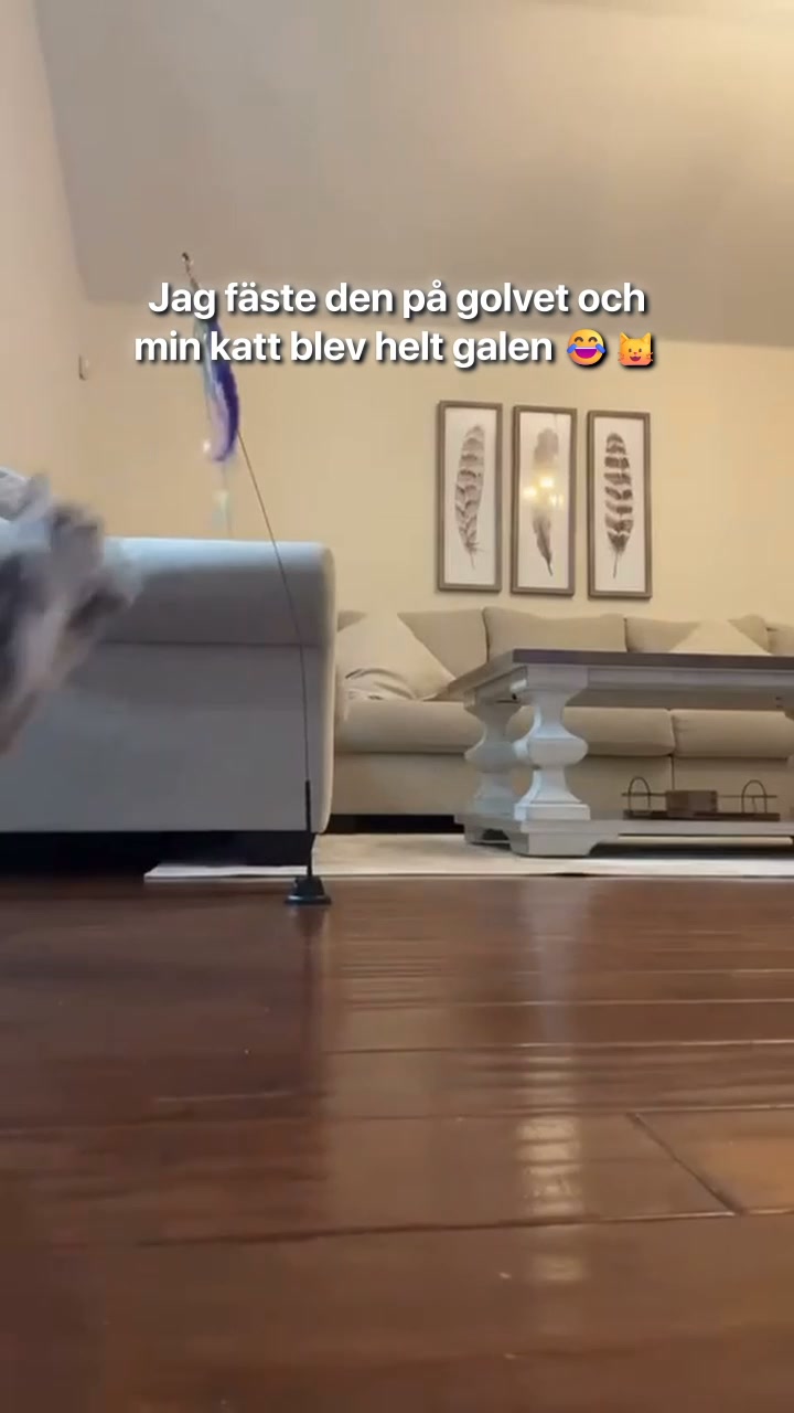 #1 Kattleksak