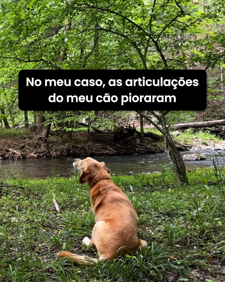 Pastilhas para o cuidado das articulações