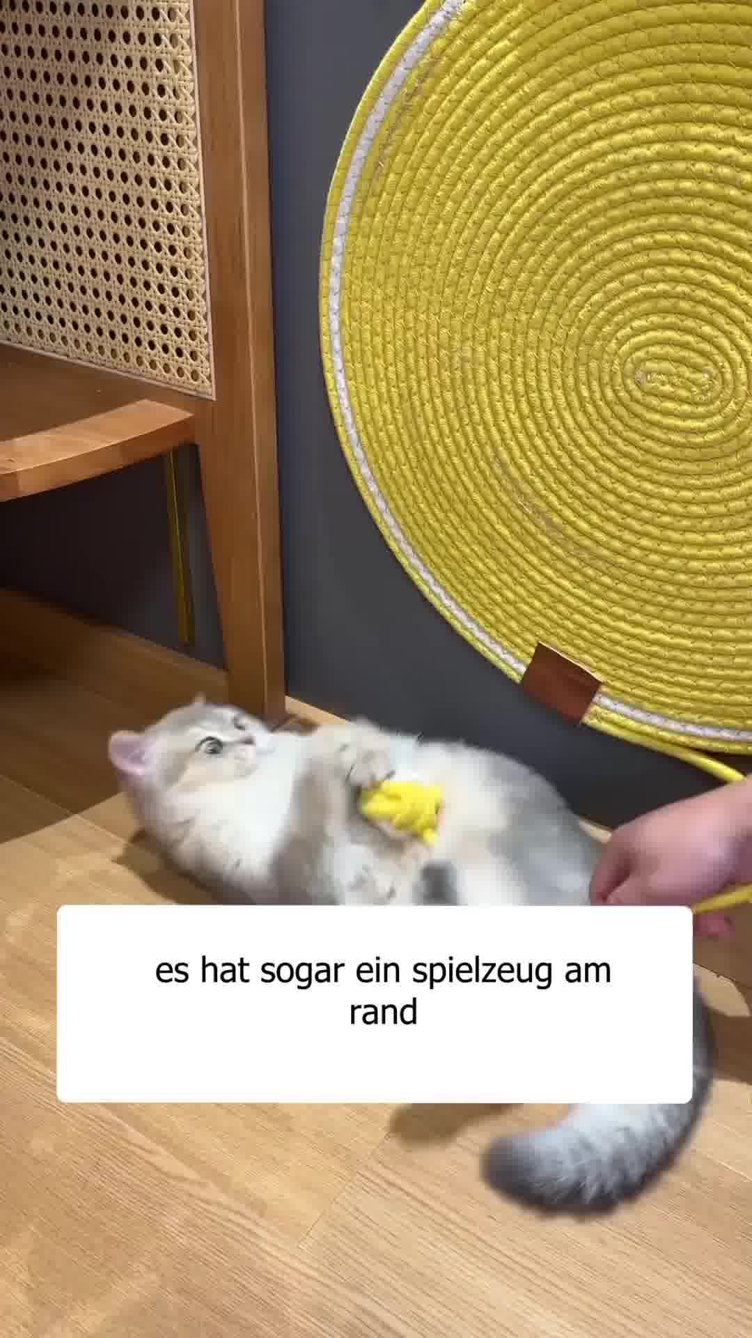 #1 Kratzlösung