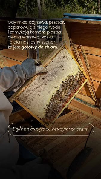 Odbierz ebook za 0zł i 10% rabatu!
