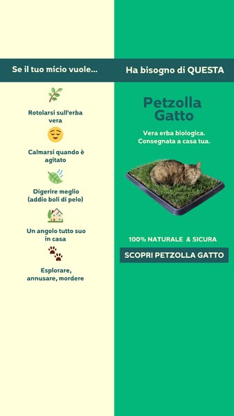 Il suo primo prato vero, in casa