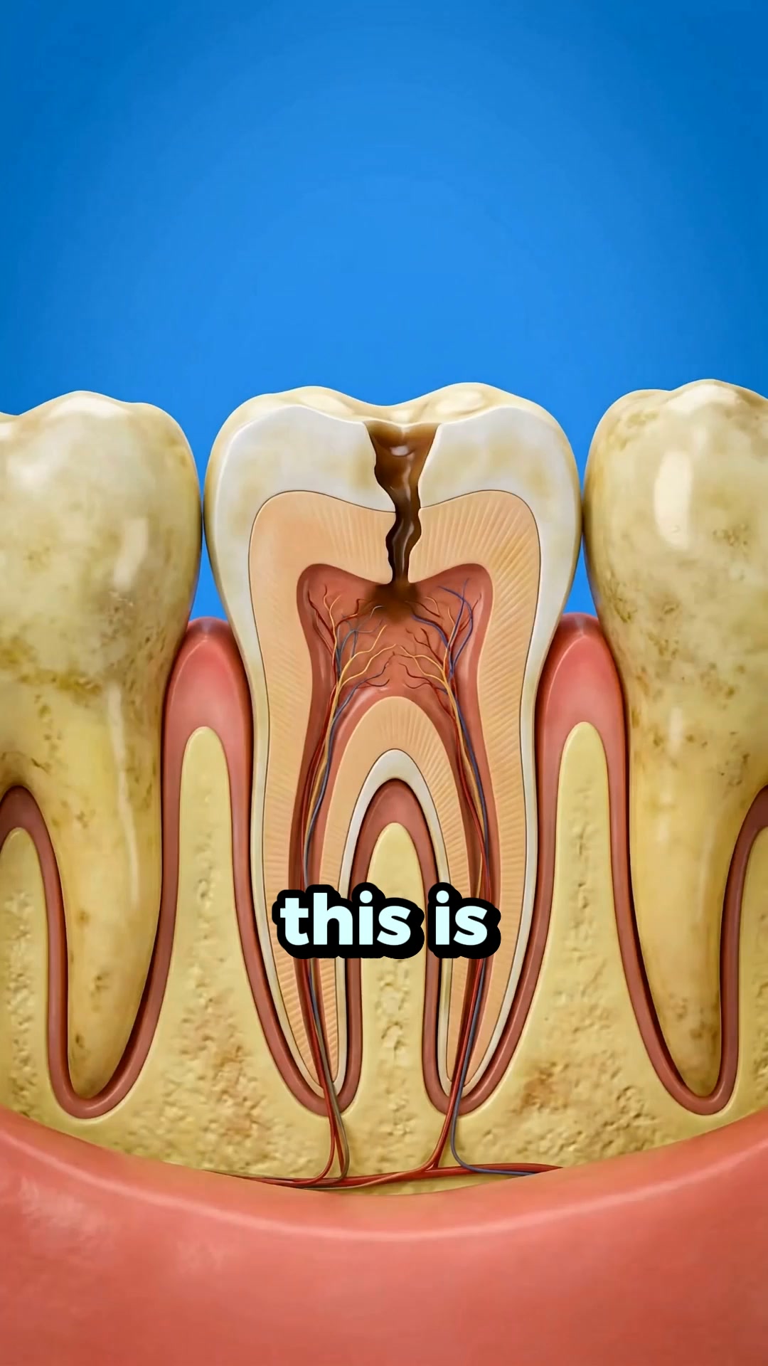 Whiter & Stronger Teeth