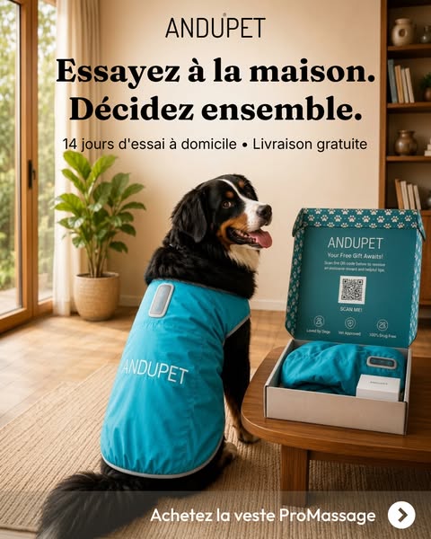 Essayez à la maison. Décidez ensemble.