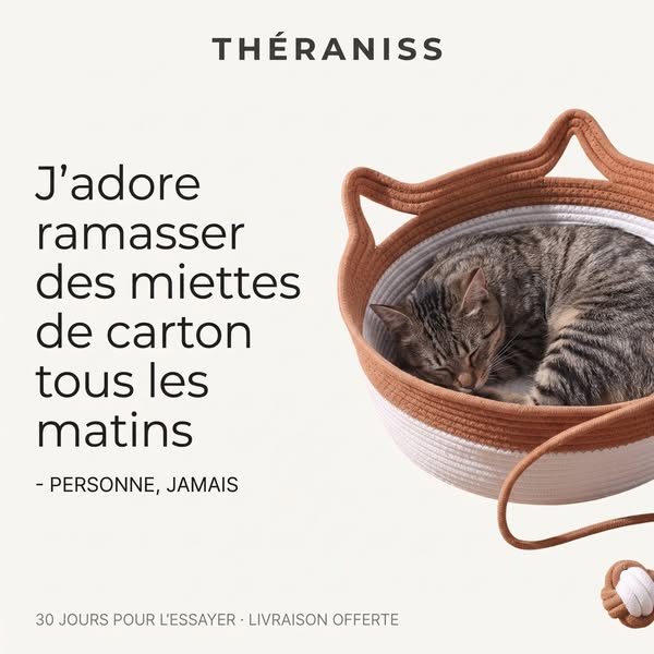 Votre chat a raison de préférer le carton