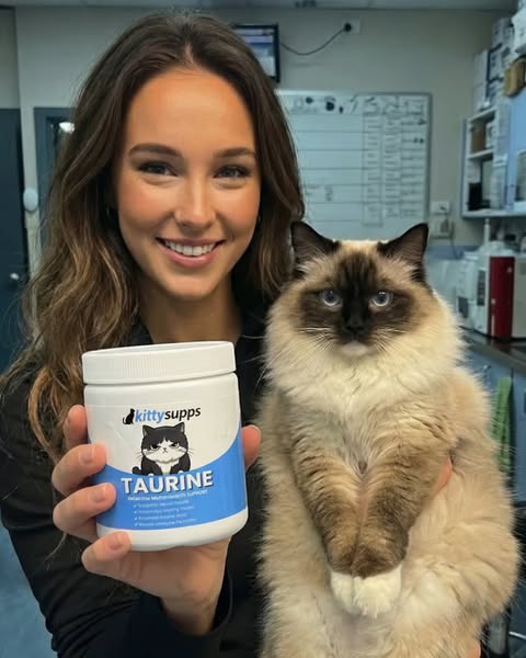 Trusted by 200,000+ cat parents