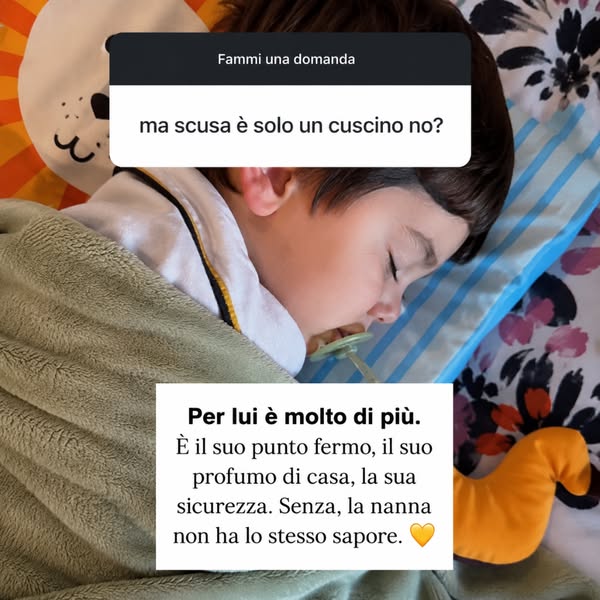 Il suo nuovo compagno della nanna