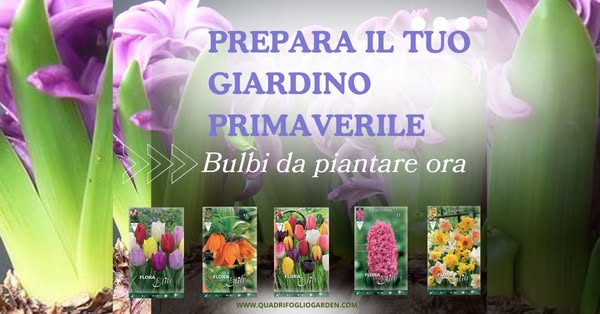 È ora di piantare! Scegli i tuoi bulbi autunnali e approfitta della spedizione gratuita da 34,50€!
